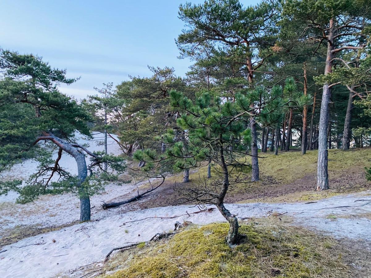 Siedlisko Wytowno Villa Ustka Dış mekan fotoğraf