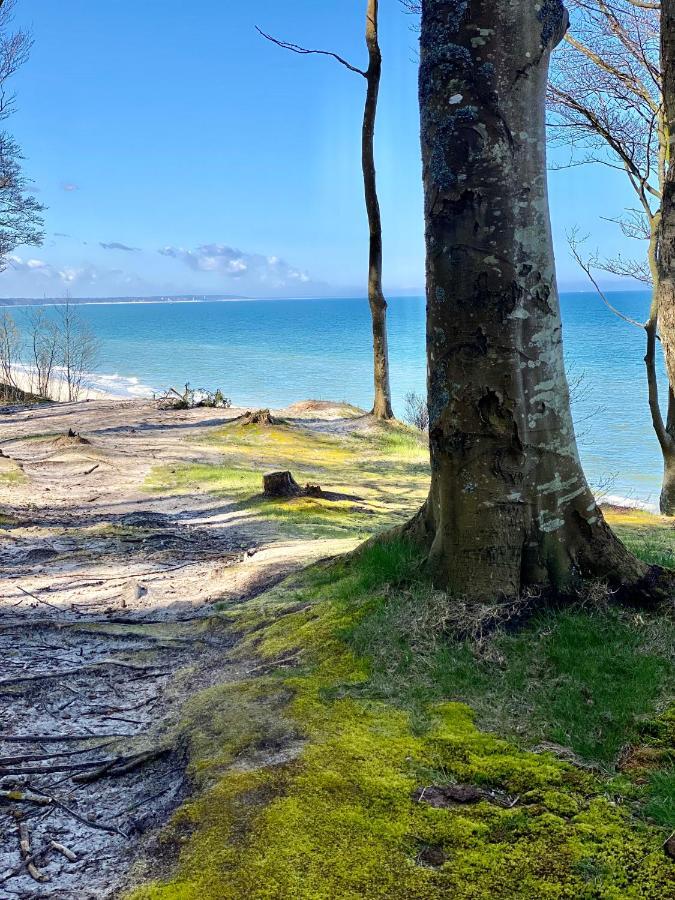 Siedlisko Wytowno Villa Ustka Dış mekan fotoğraf
